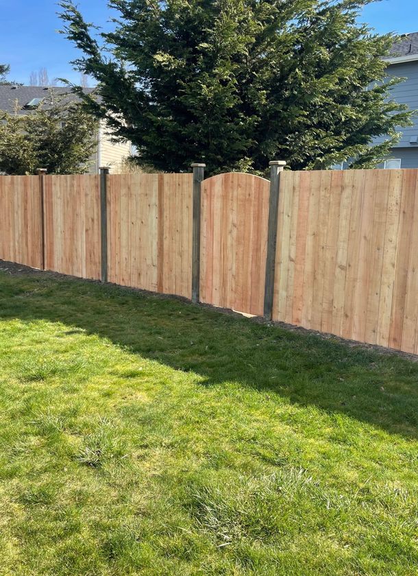 Cedar fence installation